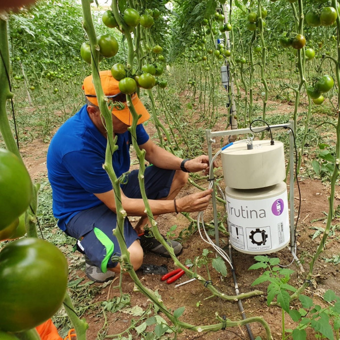 Százmilliós üzletet építenek Szegeden arra, hogy jól érzik-e magukat a növények