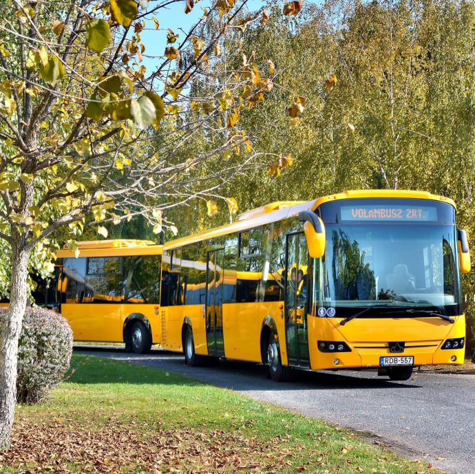 Most kezdődhet csak igazán a buszbonanza