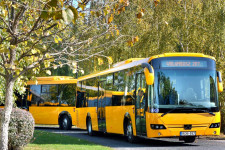 Most kezdődhet csak igazán a buszbonanza