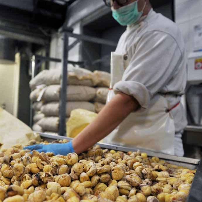 A gesztenyepüré gyár, amely kilépett az árversenyből, és ezzel nagyot nyert