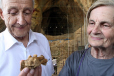 Úgy tűnik, hogy az ember természetes élettartama 38 év