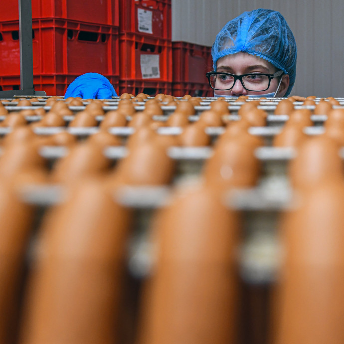 Nem tudnak kimászni a nyereségcsapdából a magyar iparvállalatok