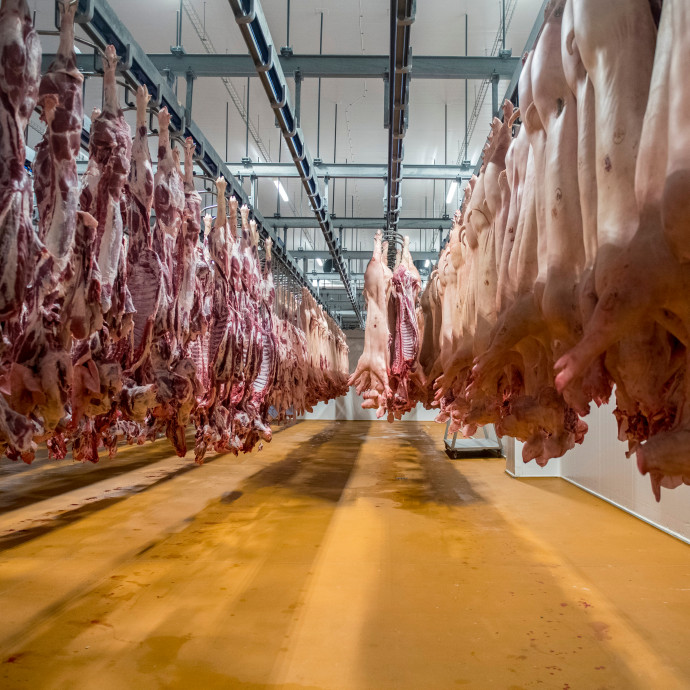 Kötelező lesz nemzeti színű zászlót tűzni a sertéshúsba a boltok húspultjain