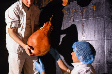 Kérdezze meg kezelőorvosát, mielőtt a kormányra hallgat a konyhában