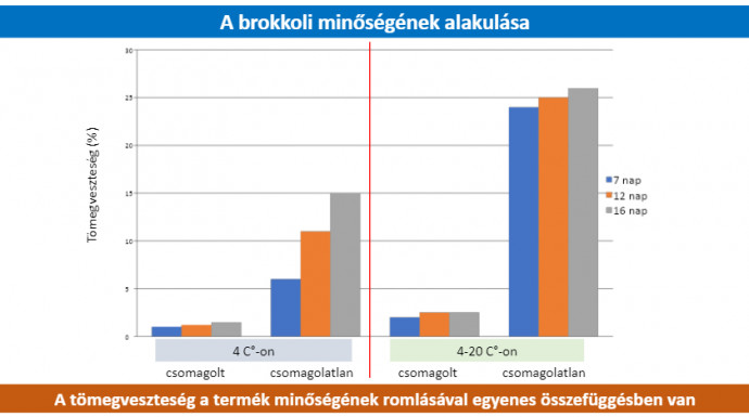 Forrás: Nagy Miklós/CSAOSZ