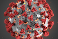 Meg lehet állítani a koronavírus-járványt anélkül, hogy megbénulna a gazdaság?