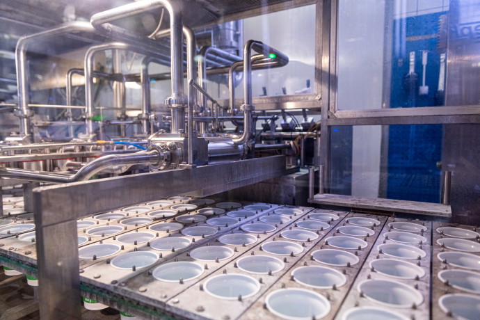 Tejföladagoló az Alföldi Tej Kft. székesfehérvári üzemében. Fotó: Farkas Norbert