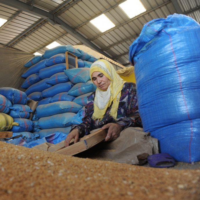 A mezőgazdaságot a szárazság, a turizmust a járvány szárítja ki Észak-Afrikában