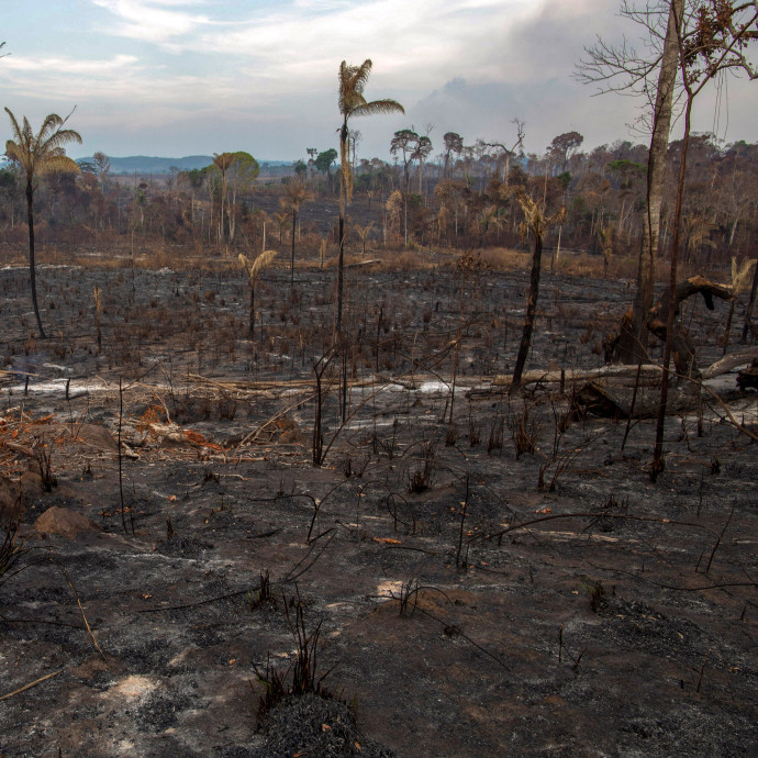 Pár éven belül elkezdődhet olyan fontos rendszerek összeomlása, mint az amazonasi esőerdő