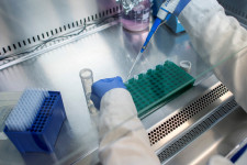 Csak most kezdjük felpörgetni a tesztelést, és érthetetlen titkolózás van ekörül