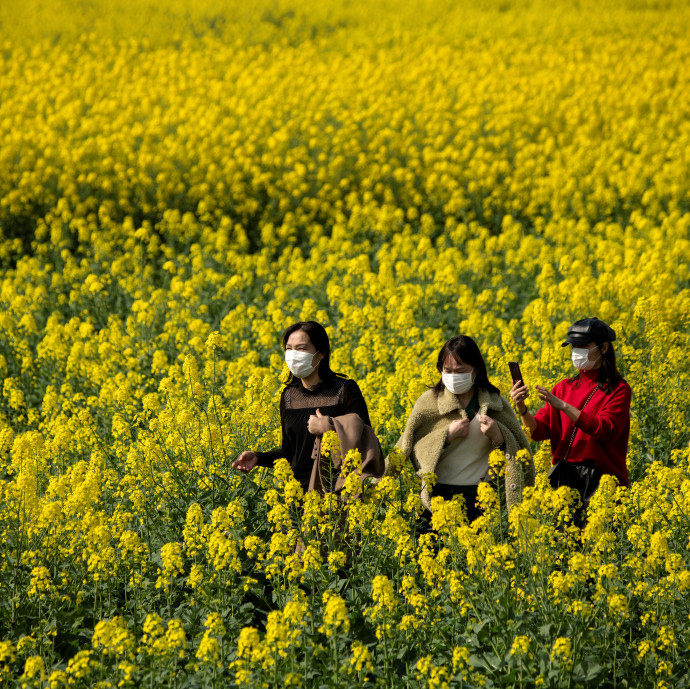 Az influenza legyőzésében segíthet a jó idő, de a koronavírusnál ez még bizonytalan