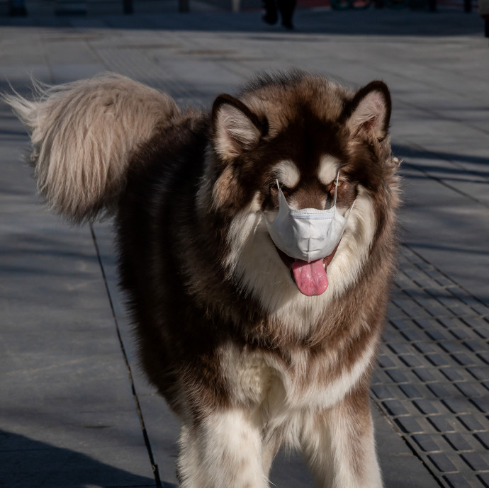 Miért őrült meg a tőkepiac? Mert még rosszabbra számítanak