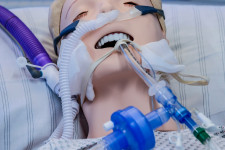 Amerikában 50-60 ezer lélegeztetőgép is lehetne, de csak 17 ezer van, mert a piac közbeszólt