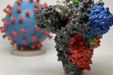 Csak 12 molekula megfelelő sorrendben, és kész a világjárvány