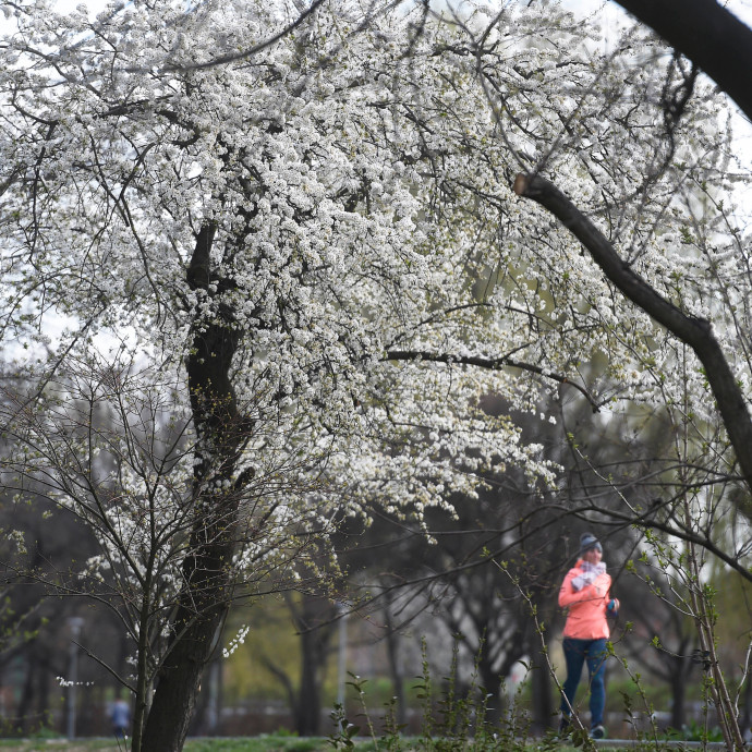 Virtuális futóversenyeken kárpótolják magukat a magyar futók és versenyszervezők