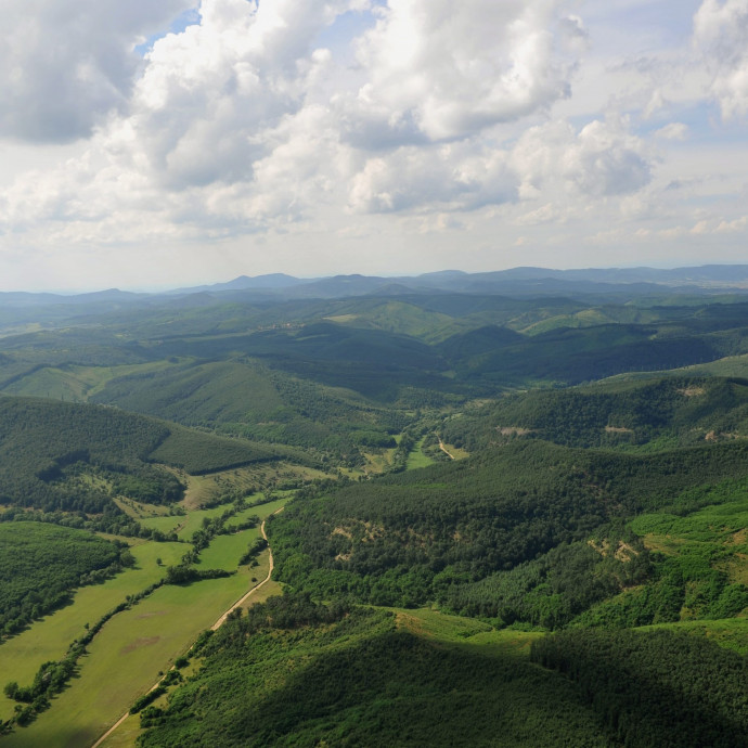 A megye, ahol 10 fertőzött volt, amíg le nem teszteltek egy idősek otthonát