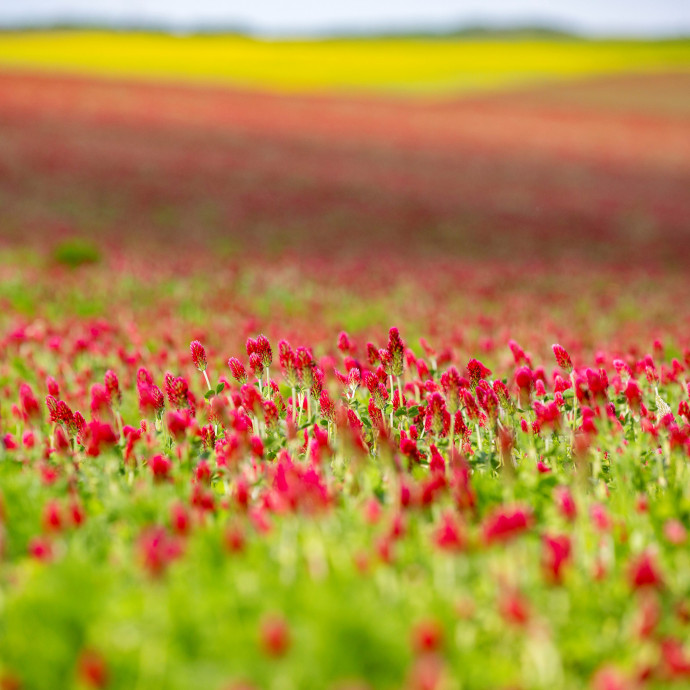 Magyar csoda: a szakadék szélén is növekedett a magyar gazdaság