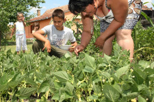Megéri leköltözni vidékre, hogy zöldséget és gyümölcsöt termeljünk magunknak?