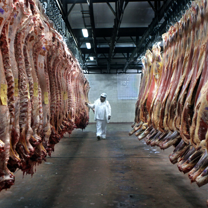 A kelet-európaiak kizsákmányolását látja a járványkitörés mögött egy német miniszter