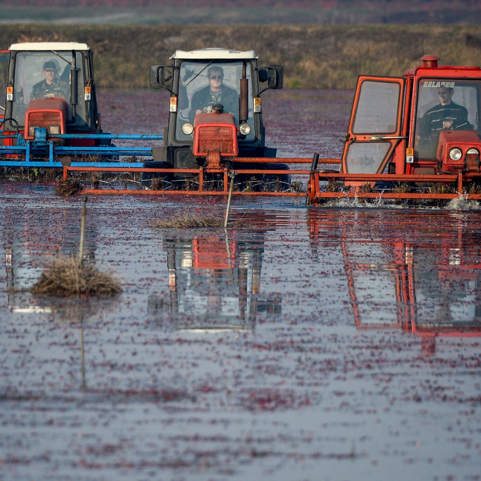 Traktorban és IT-ben is erős a szovjet gazdaság utolsó bástyája, de egyre nehezebb fenntartani