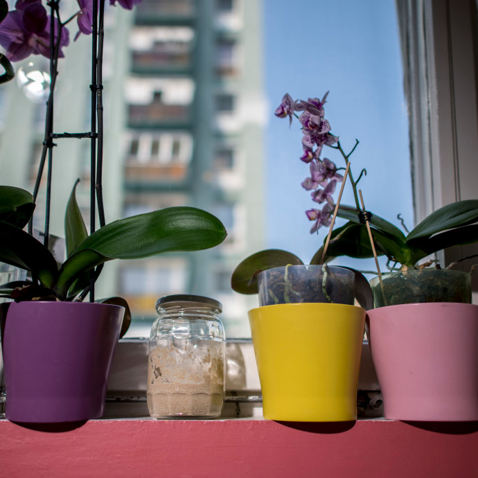 Az otthoni sütés után most mindenki kézműves pékséget akar nyitni