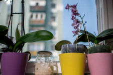 Az otthoni sütés után most mindenki kézműves pékséget akar nyitni