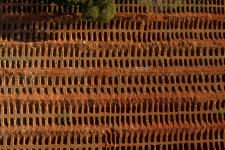 „Nincs oxigén, nincsenek ágyak” – egyre elkeserítőbb a helyzet Dél-Amerikában
