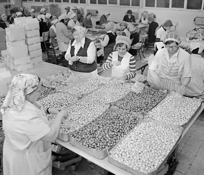 Húsvéti csokitojást csomagolnak a Rákosvölgye Termelõszövetkezet üzemében, 1976-ban. Fotó: MTI/Koppány György