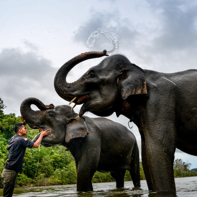 Itt az ideje, hogy komolyabban vegyük az állatokat
