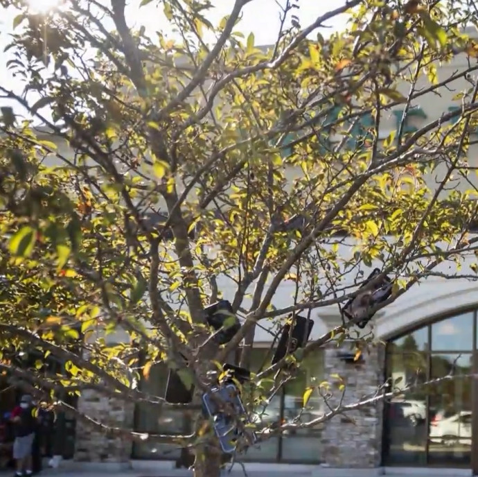 Fára akasztott telefonokkal próbálnak több megbízáshoz jutni futárok Amerikában