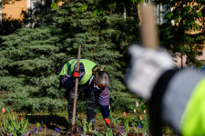 Olyan kevés a munkanélküli segély, hogy táppénzre menekül, aki teheti