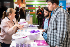 Meghirdettek egy termelői ügyintézői állást, tömegével jelentkeztek a diplomások