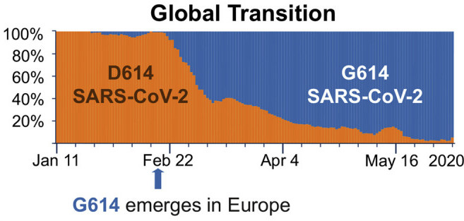 Két koronavírus változat előfordulási arányának változása januártól júniusig. 
