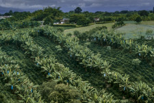 Az étcsoki és a kávé is a leginkább környezetkárosító élelmiszerek között van