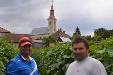 Évi 50 millió forintból teremtenek nagyobb értéket a közmunkánál