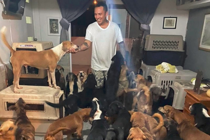 Háromszáz kutyát menekített a házába egy mexikói férfi