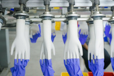 Egy gumikesztyűket gyártó cég 274-szeresére növelte a nyereségét