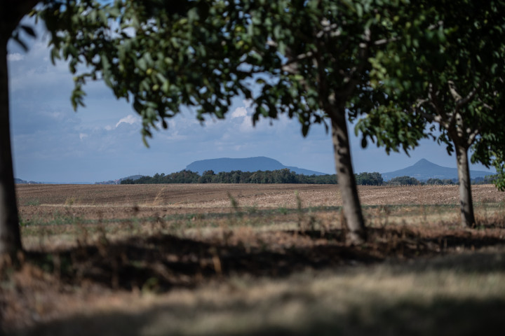 A Badacsony látképe az ültetvény szélérőlFotó: Bődey János / Telex