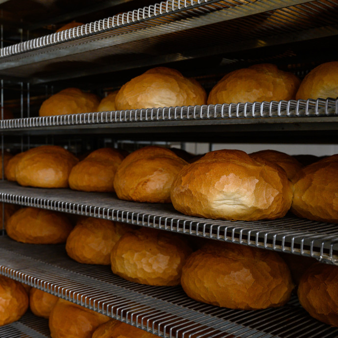 A külföldi tulajdonban lévő élelmiszeripari cégeink harmadannyi dolgozóval érnek el akkora profitot, mint a magyarok