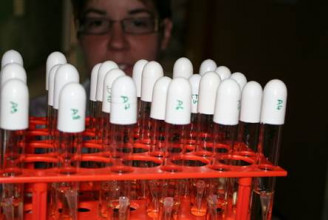 Szuperbaktérium elleni antibiotikum-molekulát fejlesztettek ki Szegeden