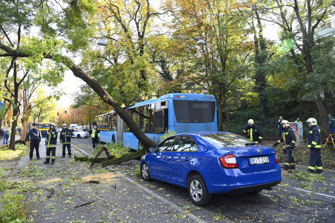 Buszra es autókra dőlt egy fa a II. kerületben, miután nekihajtott egy betonkeverő