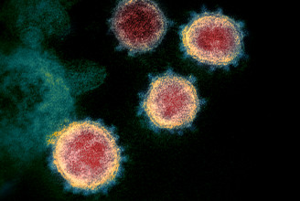 Mit tanultunk a koronavírus-járványból?