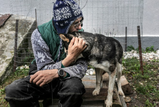 Az ember és a kutya kapcsolatának bemutatásáért Végh László fotóriporter kapta a Hemző-díjat