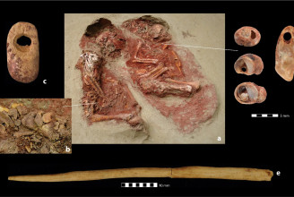 Minden eddiginél idősebb egypetéjű ikerpár feküdt a 31 ezer éves kőkorszaki sírban