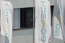 Hatékonyabbnak tűnik a koronavírus-vakcina, mint az influenza elleni oltás