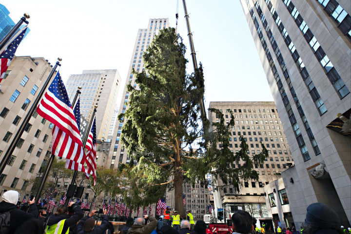 Idén még a híres New York-i karácsonyfa sincs a legjobb formájában