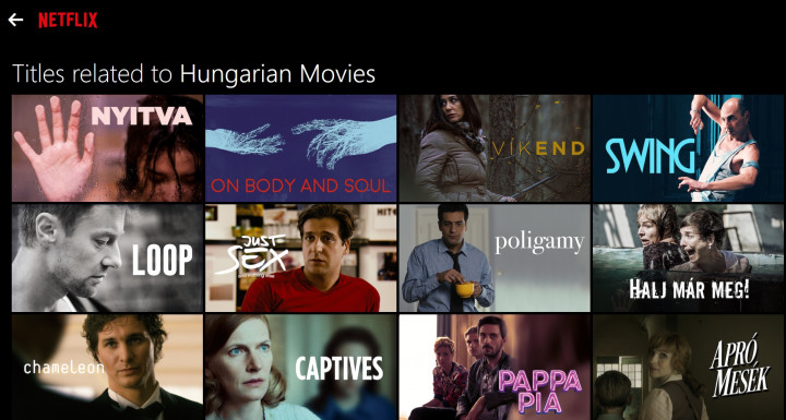 Részlet a magyar kínálatból a Netflixen