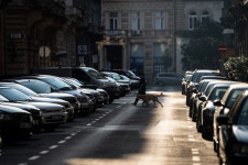 Egy felmérés szerint az erzsébetvárosiak többsége szerint meg kellene szüntetni a kerületi lakosok ingyenes parkolását
