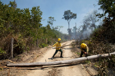 12 éve nem látott pusztítás a brazíliai esőerdőkben