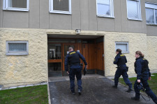 Már nem gyanúsítják azzal a svéd nőt, hogy évtizedekig fogva tartotta fiát